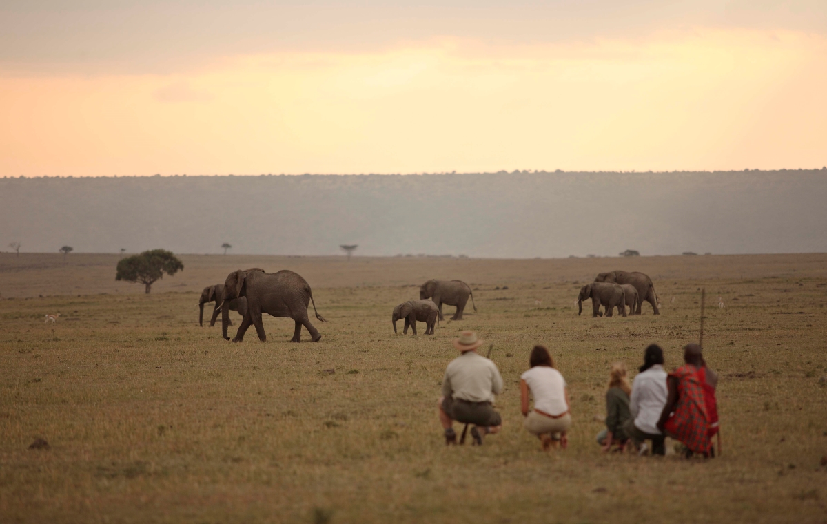 Elewana-Elephant-Pepper-Camp-maasai-mara-walk Elephant sighting on a bush walk