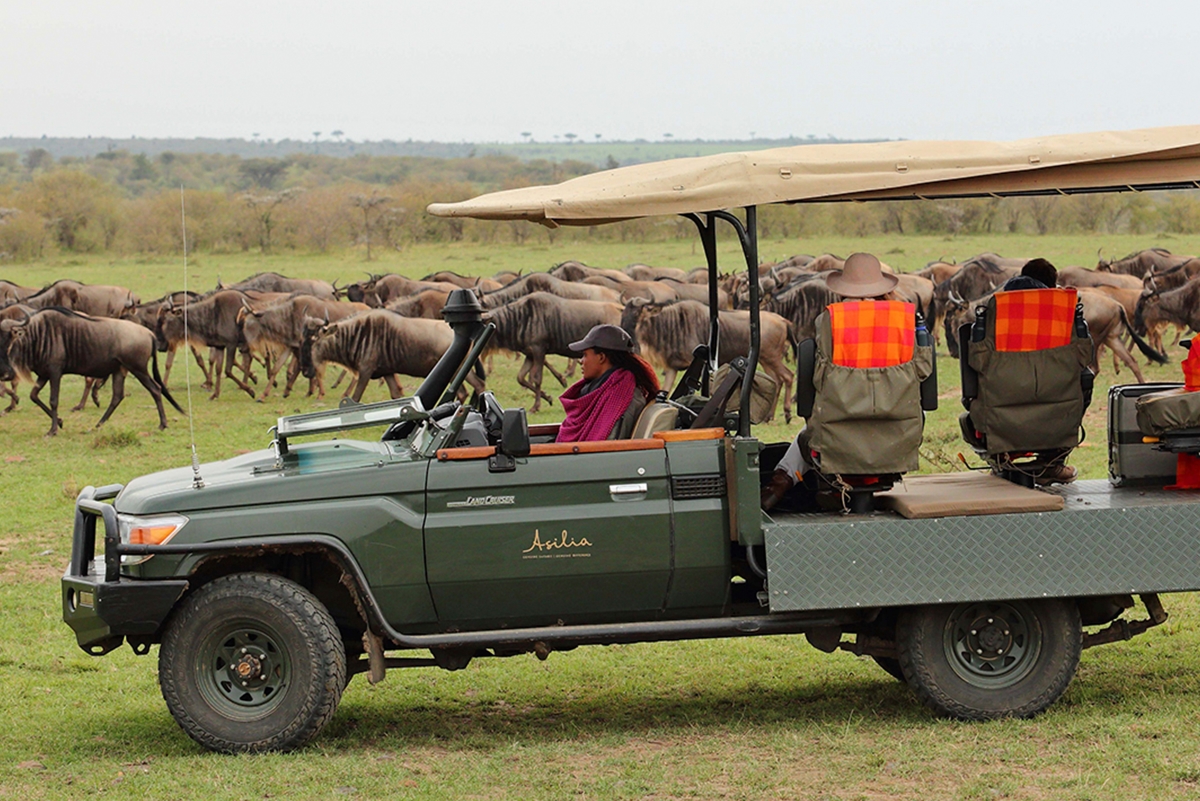 Naboisho-camp-maasai-mara-photographic-safari Guests on photographic vehicle observing a herd of wildebeest