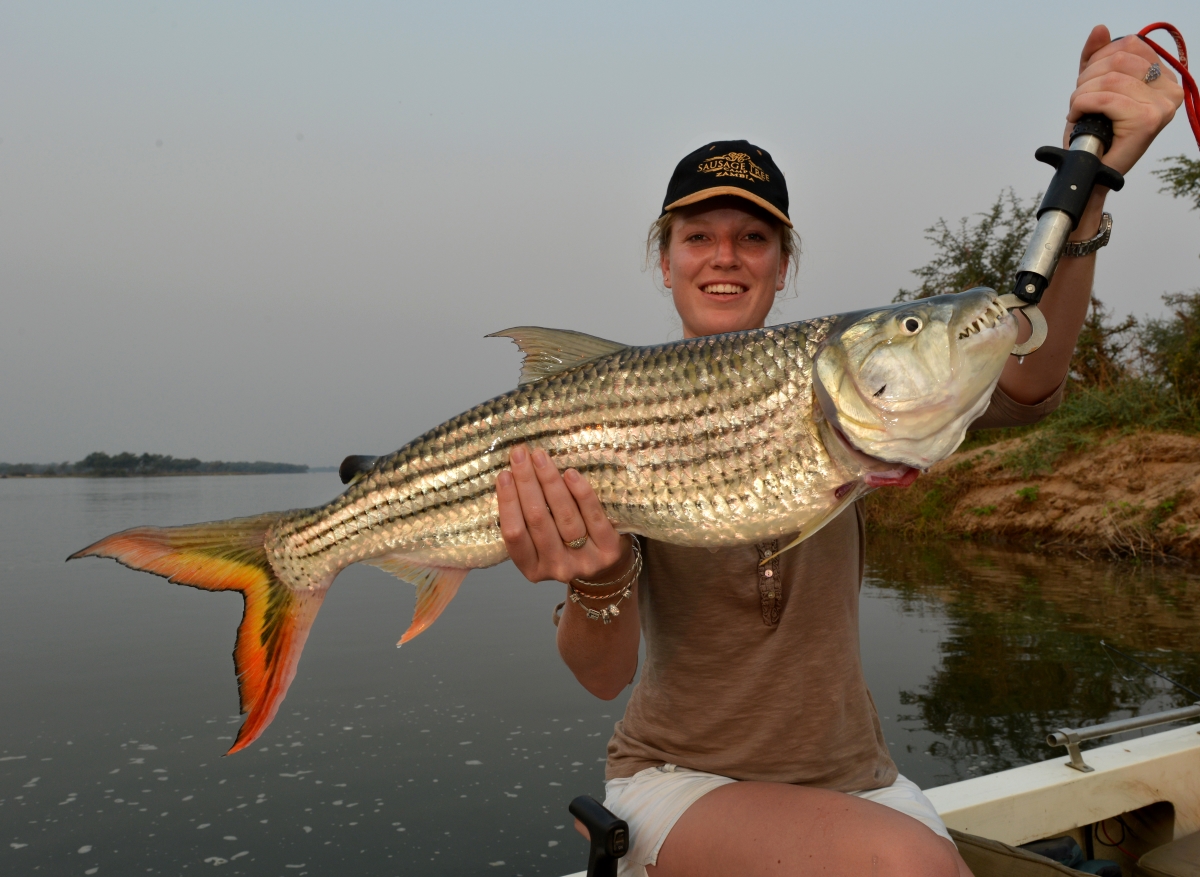 Sausage-Tree-Camp-Zambezi-River-tigerfish Woman posing with her Tiger Fish catch