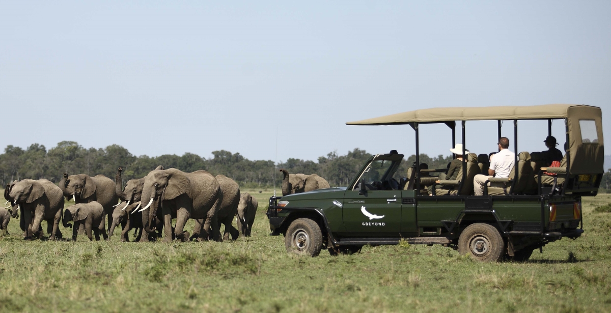Kichwa_Tembo_Gamedrive3 Game drive vehicle coming to a stop to observe elephants