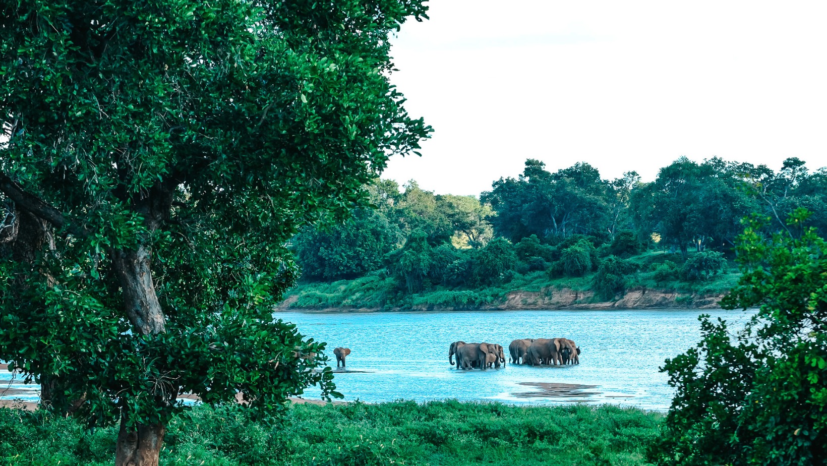 434370948_815091593994939_6347767518782190390_n Chilo Gorge Safari Lodge elephant views