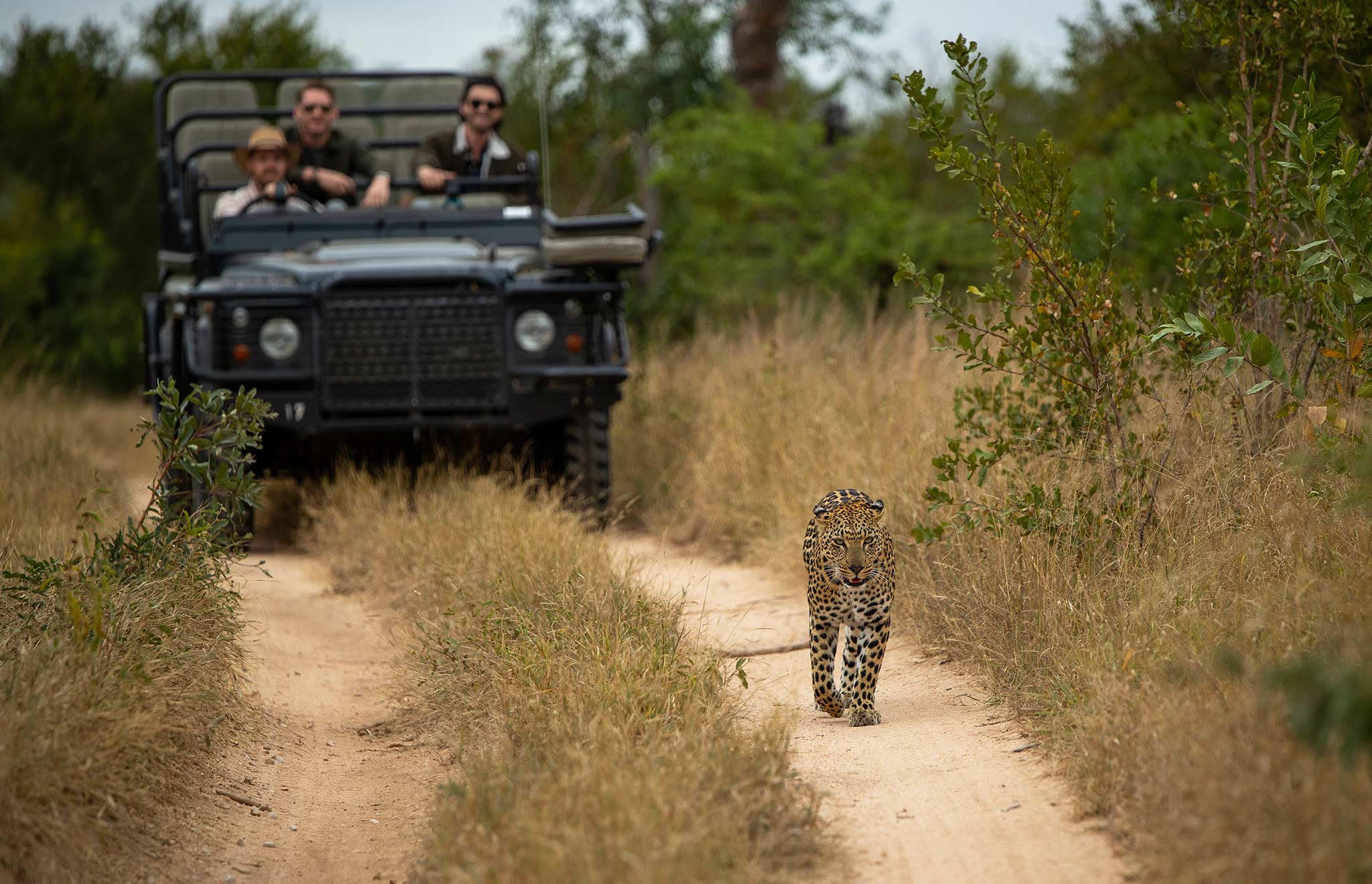 Felix-Studios-AUC-Episode-4-Londolozi-66 Experiencing the Big 5 like the leopard at Londolozi