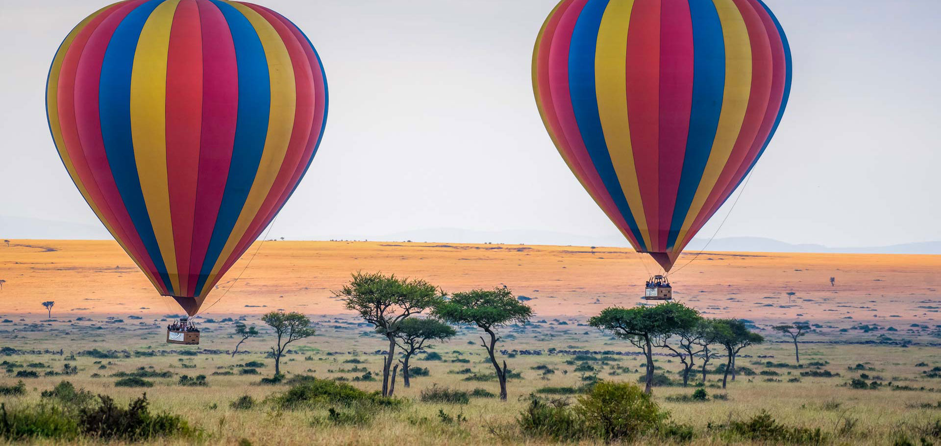 hot-air-balloon-rising-above-the-savannah-serengeti-national-park-AdobeStock_377726378-cropped Heißluftballons über der Serengeti - Romantikurlaub in Afrika