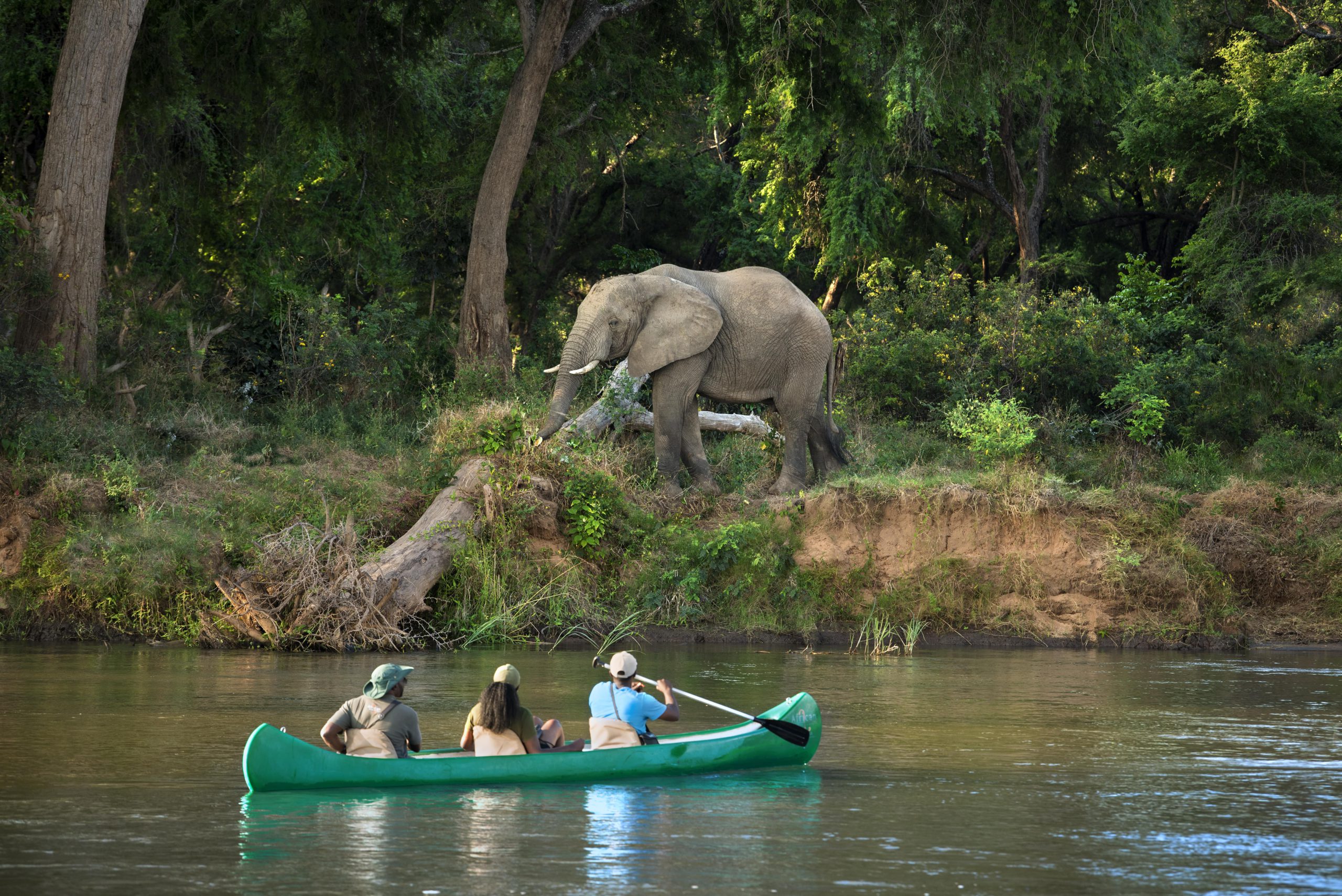 lolobezi_122-min1 Experiencing the Big 5 from a boat