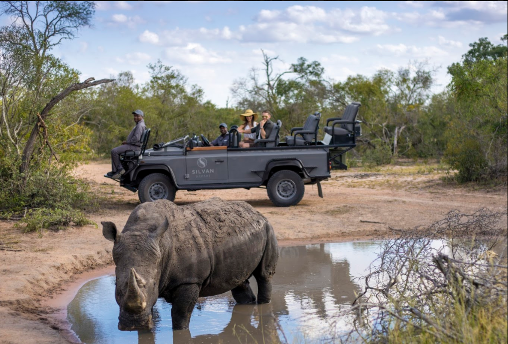 silvan rhino (1) Big 5 sighting in the Sabi Sand Game Reserve