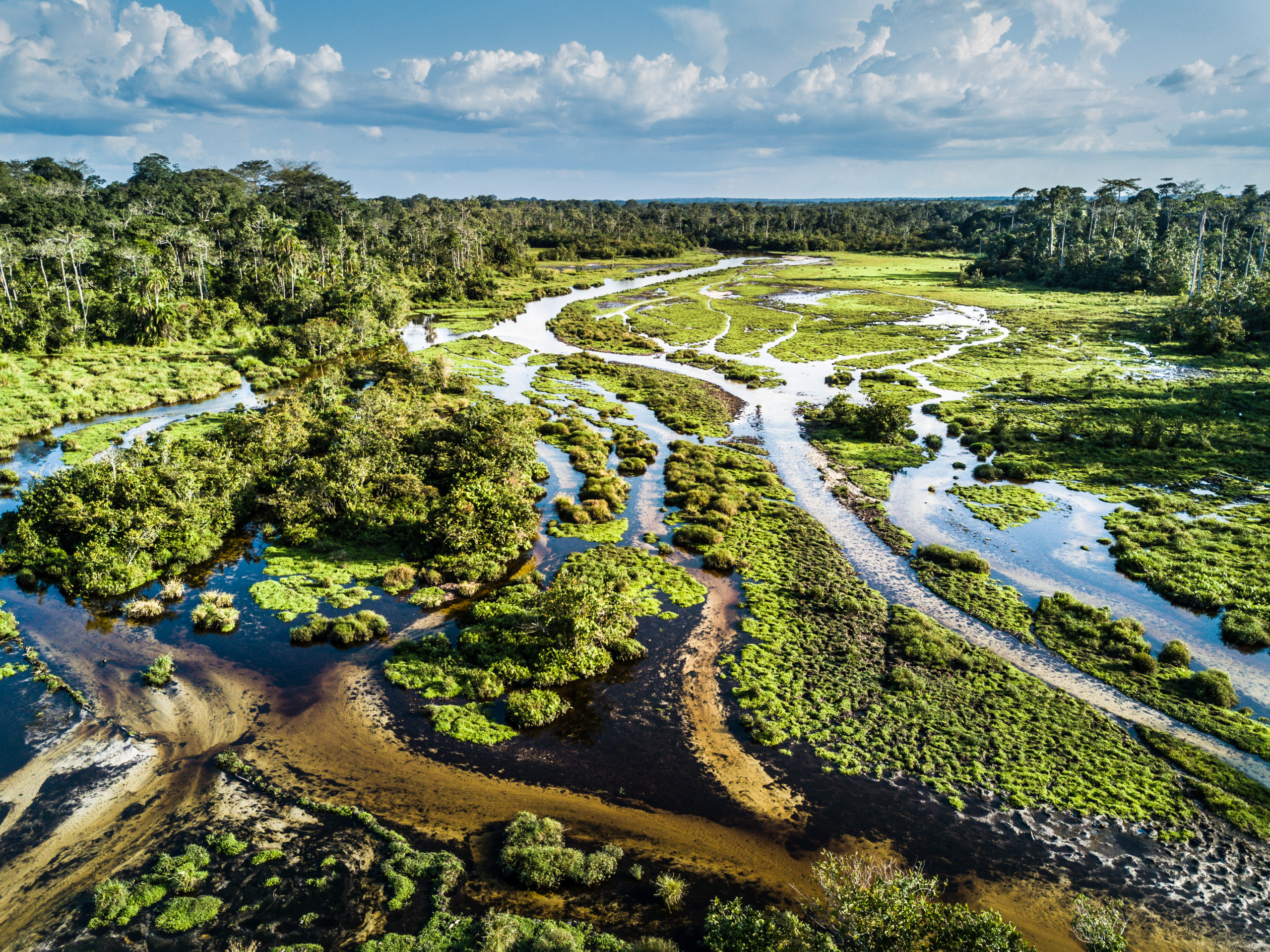 Odzala National Park - Republic of Congo Congo