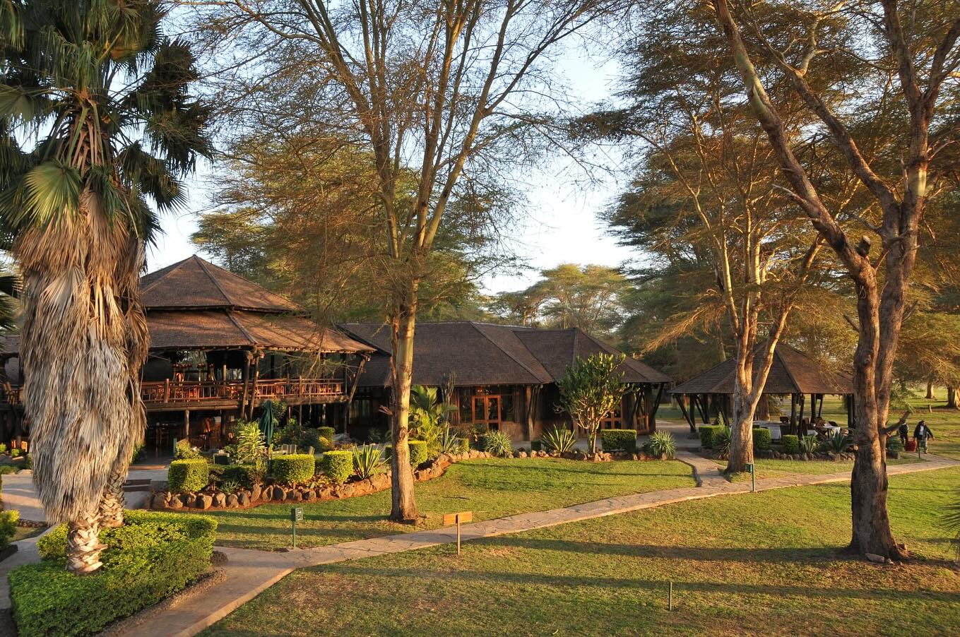 ol-tukai-lodge Ol Tukai Lodge is one of the best lodges in Amboseli National Park for families