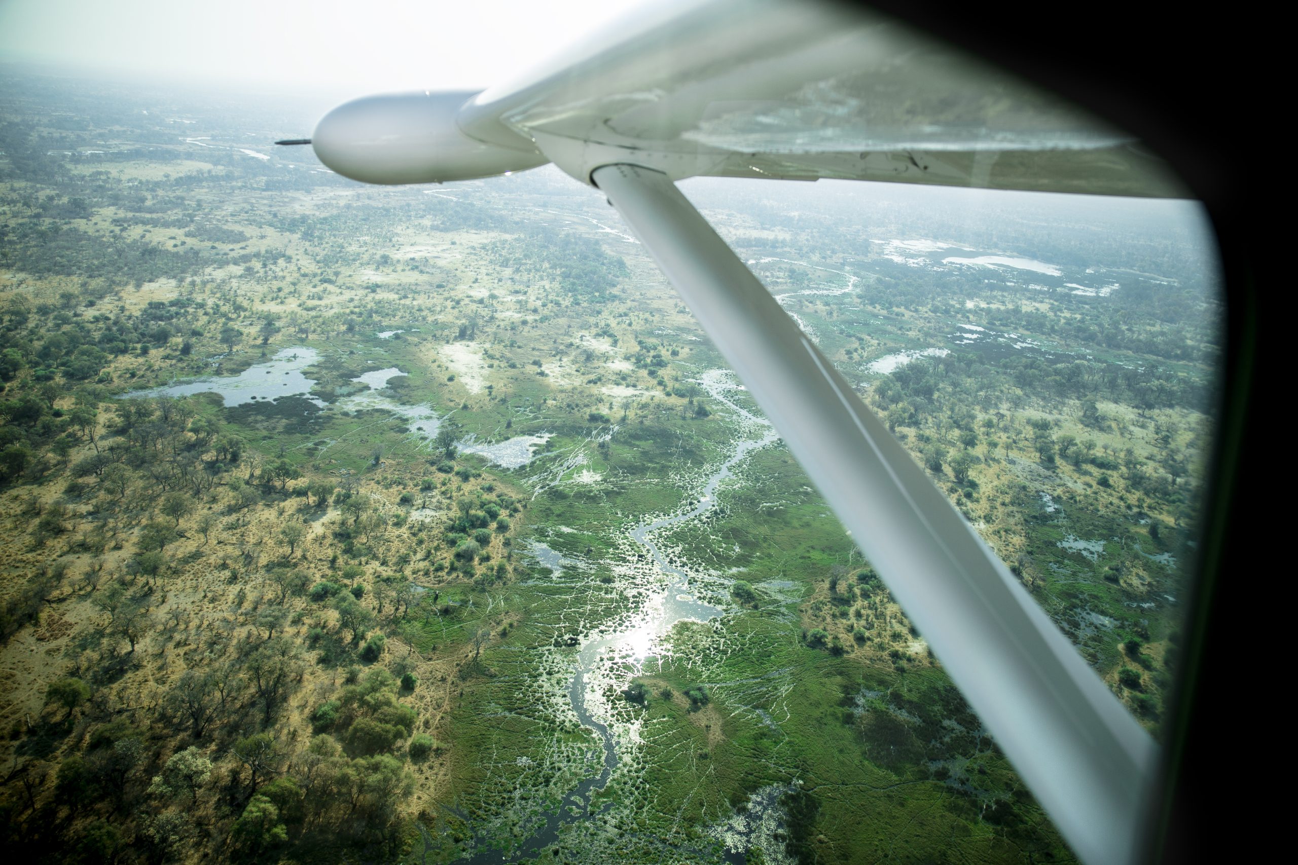flying-in-botswana flying in a caravan plane in Botswana