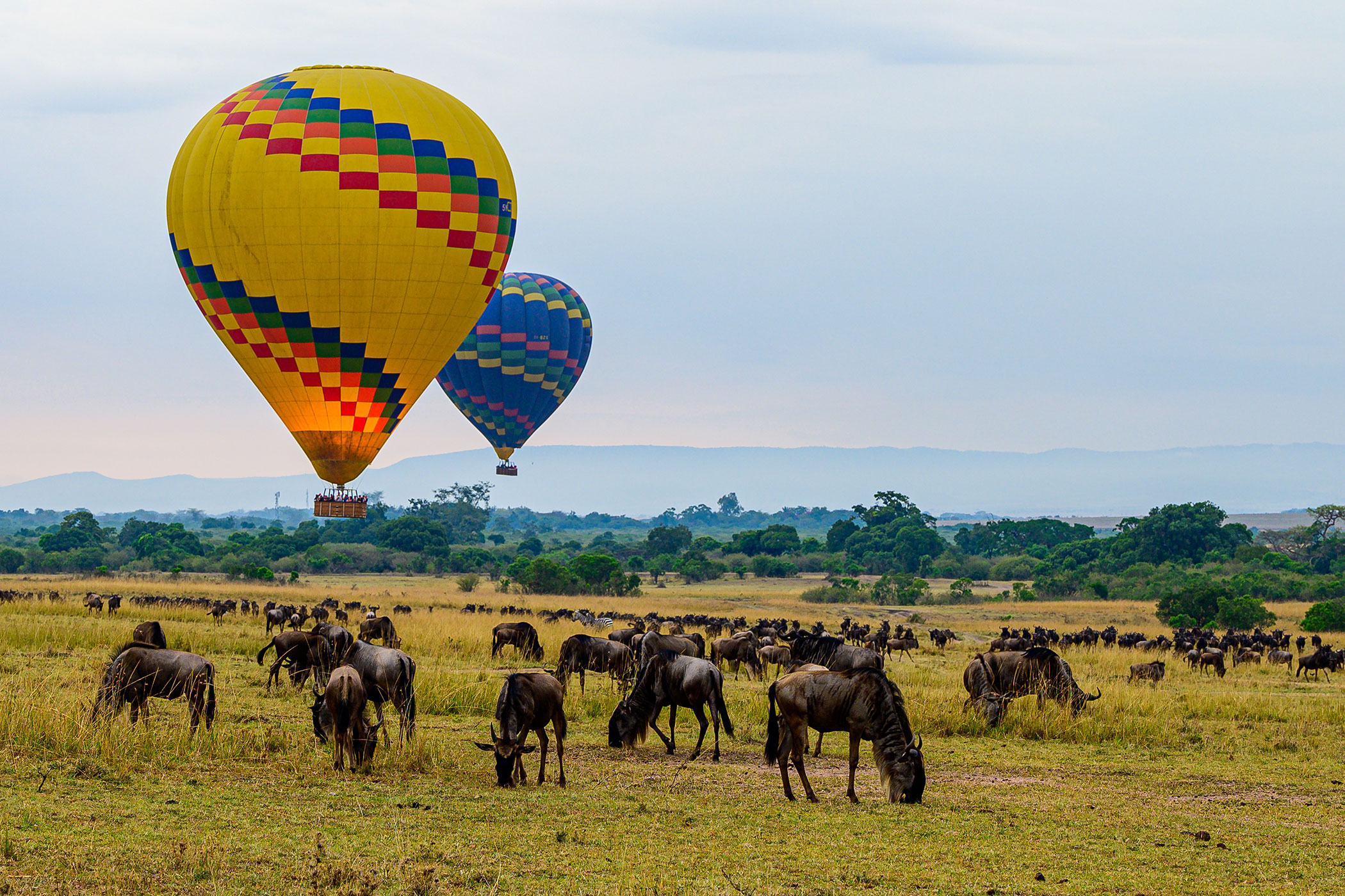 hot-air-balloon-safari-in-maasai-mara-kenya-with-wildebeest-grazing-beneath