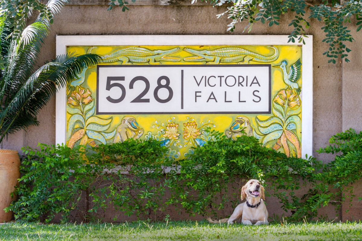 528_welcome_signlilah 528 has personality written all over it